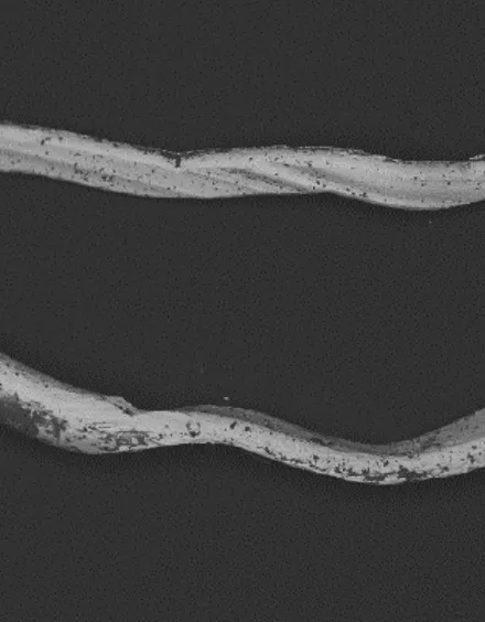 FIGURE 1. SEM images of the particle