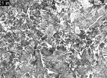 FIGURE 1. The submitted samples of material.