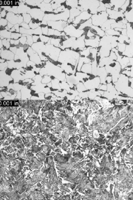 FIGURE 2. The typical microstructures from the marked sample (Top Picture) and the unmarked sample (Bottom Picture)