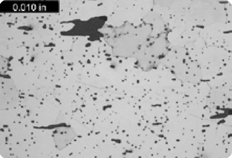 FIGURE 2. The typical star member microstructure.
